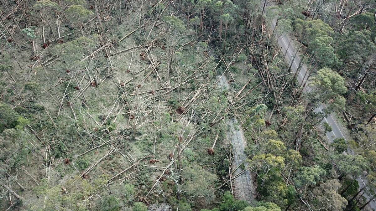 NO TRAINS: Over 400 trees fell on the Daylesford Spa Country Railway line. Picture: supplied