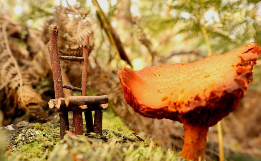 FIT FOR A FAIRY: One of the 40 chairs hidden in the Woowookarung Regional Park.