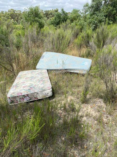 DUMPING DISASTER: Mattresses left in the Woowookarung Regional Park. Picture: Supplied
