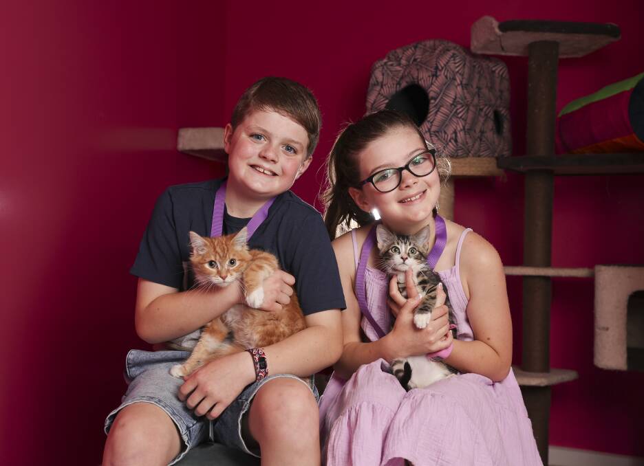 Cuddly: Luca and Cadence get to cuddle some kittens before Petstock pet adoption day. Photo: Luke Hemer.