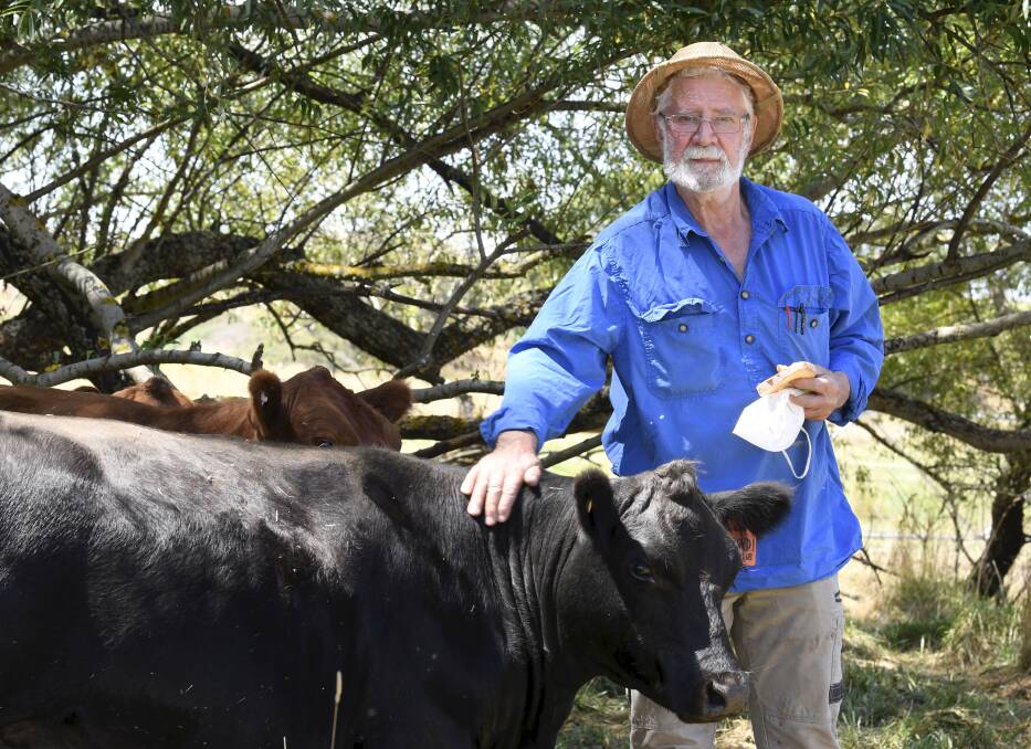 The philosopher: Navigators grazier Peter Crawford with one of his brood, Qumundi. Photo: Lachlan Bence