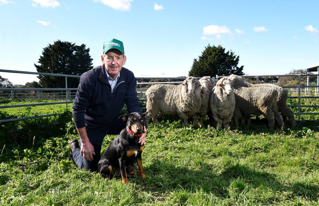 Celebrated working dog trainer Ian O'Connell with young kelpie Milly. Picture: Adam Trafford