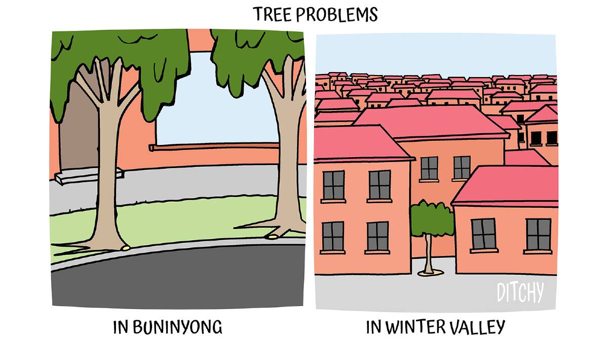 Ditchy's view on council's approach to trees