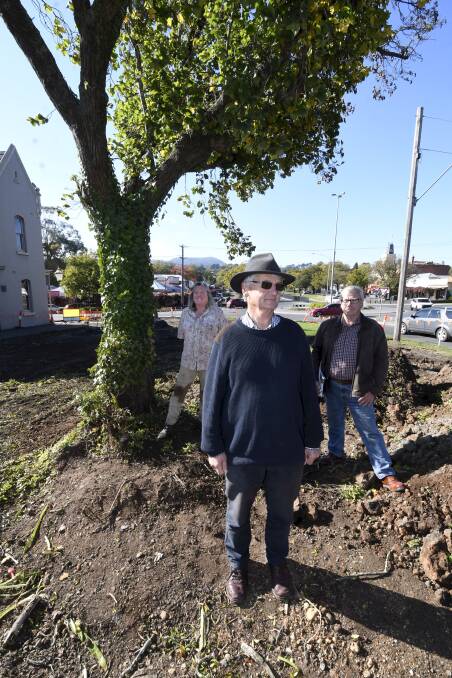 (L-R) Friends of Buninyong Botanic Gardens members Lorraine Powell, Richard Patterson and Paul Ryle next to heritage-listed Exeter Elm. Photo: Lachlan Bence