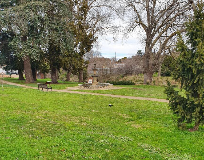 Queen's Park, Clunes before the news trees have been planted. Photo: Facebook. 