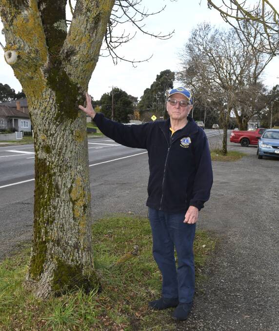 UPGRADE: Ballarat Lions Club member Bill Sleep will be assisting with the tree restoration works at the Ballarat East Avenue of Honour. Picture: Lachlan Bence.