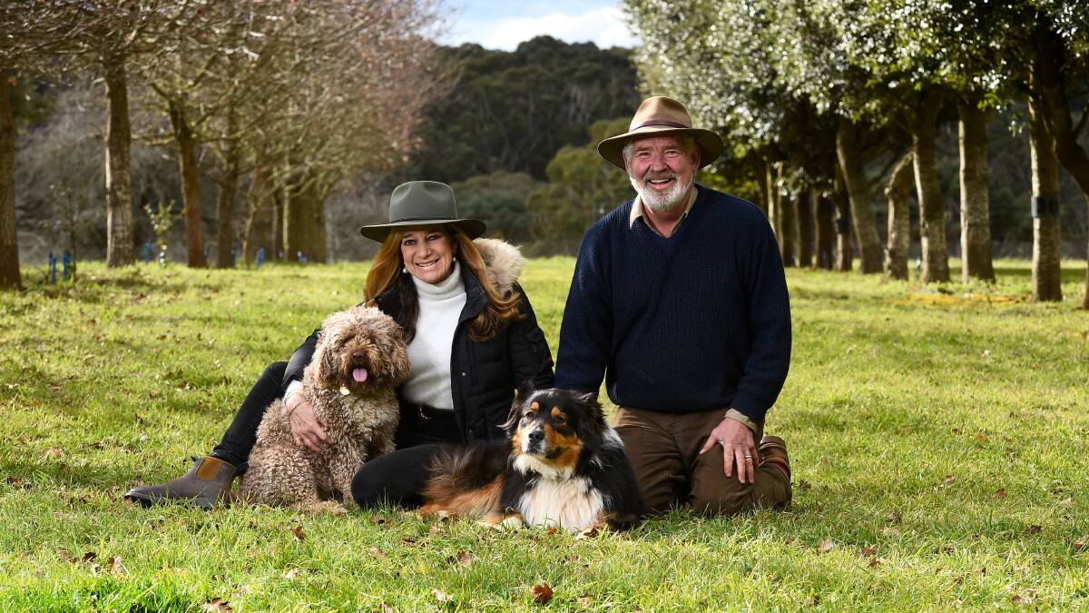 GROWING TOURISM: Kristen Simpson and Tom Eadie along with dogs Lottie and Winston will be welcoming new visitors for the summer at Black Cat Truffles. Picture: Adam Trafford. 