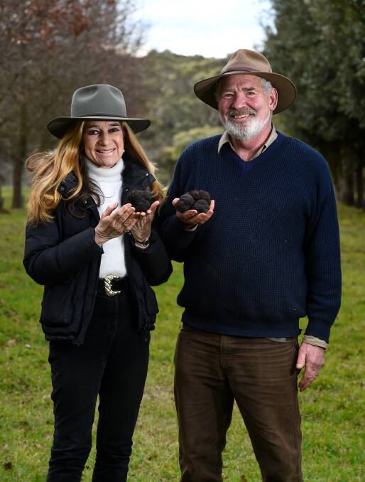 Agriculture tourism: a new trend to attract visitors to Ballarat