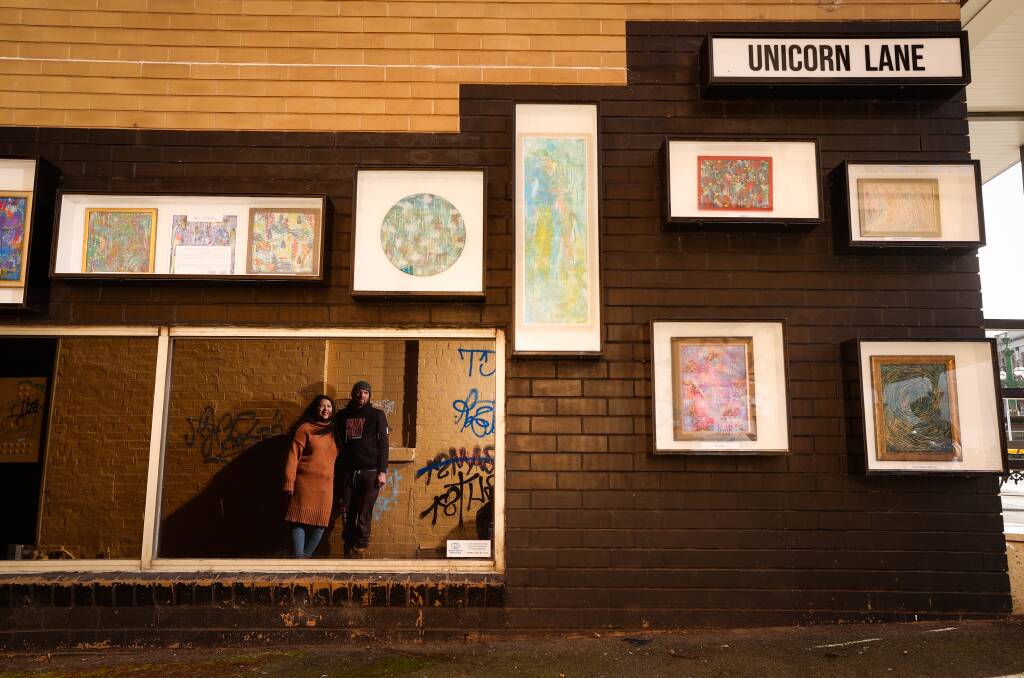 CREATIVE: Min Chiang is the latest artist to exhibit her work in Unicorn Lane, her partner Mitchell Low upcycled the frames. Picture: Luke Hemer.