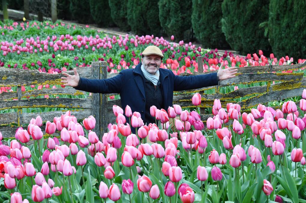 Patrick Hockey at Lambley Nursery's Tulips. Picture by Kate Healy.