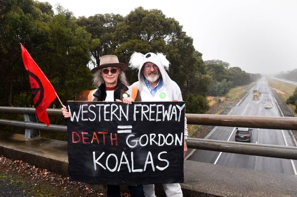 Miriam Robinson and Jim Boin make their point above the Western Freeway in one of the most notorious stretches for roadkill. They want action taken to protect or move koalas. Picture by Adam Trafford.