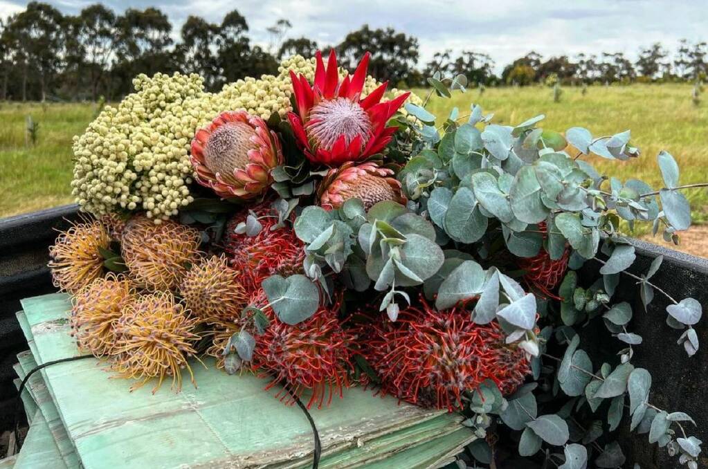 A sample of the proteas and Australian native plants available at Nikki Davey's farm in Glenmore. Picture Instagram