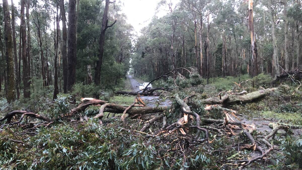 STILL RECOVERING: Trees like this one over a road in Trentham caused the town to be blocked off from the rest of the world in June 2021. It was the first of four massive storms to hit the region in the space of eight months. Pic: supplied