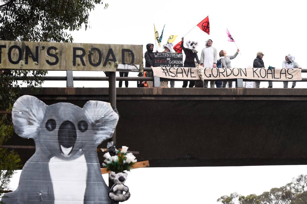 Gordon residents plus members of Extinction Rebellion and the Ballarat Wildlife Rehabilitation and Rescue group protested over the Western Freeway's worst spot for wildlife carnage between Ballarat and Melbourne. Picture by Adam Trafford.