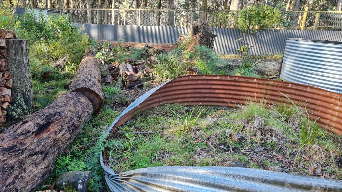 BROKEN: A reptile enclosure at the East Trentham Wildlife Shelter was destroyed in the 2021 storms. Sheds and enclosures were also damaged. Pic: Gabrielle Hodson