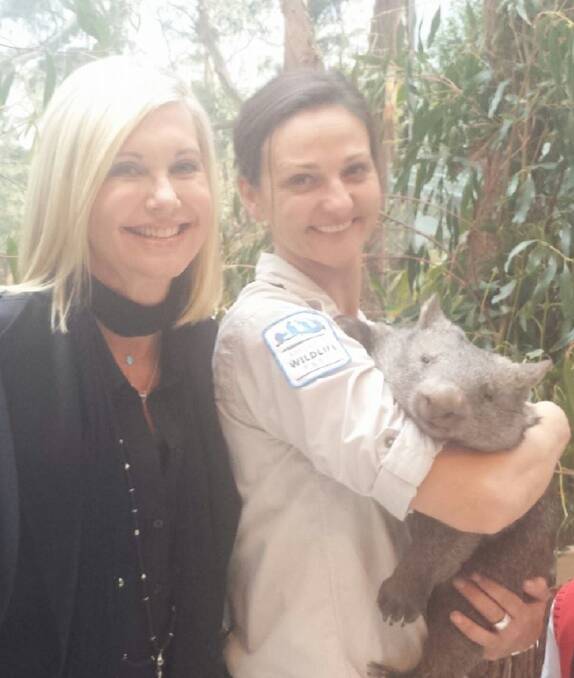 DOWN THE EARTH: Olivia Newton-John came over to meet Julia Leonard and wombat Billie at a medical conference in Melbourne. The singer is one of many celebrities who have up close and personal with animals from Ballarat Wildlife Park. Picture: Facebook. 