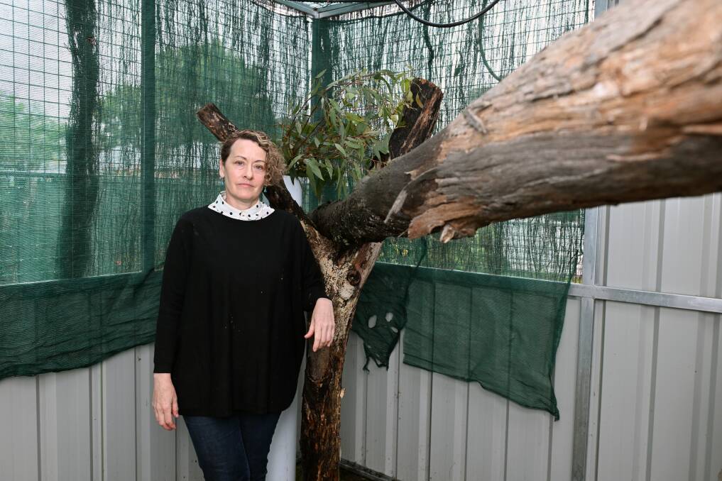 Ballarat wildlife carer and rescuer Jessica Robertson at her home in Ballarat. Picture by Kate Healy