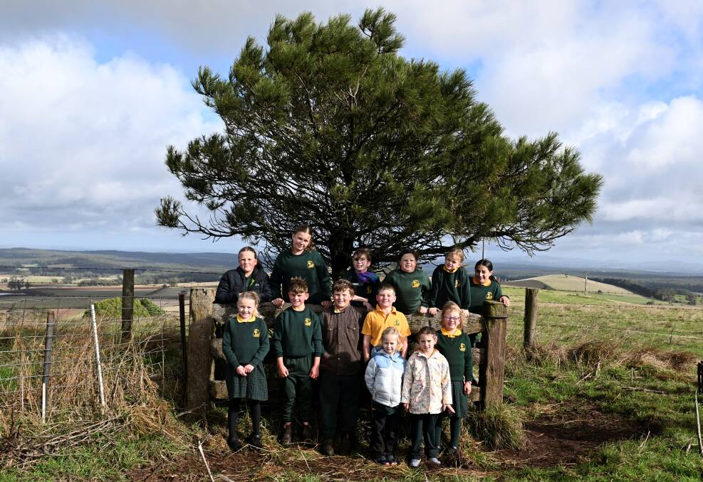 All 15 students of the school took part in the annual walk to the Lone Pine tree, donated by the Ballarat Legacy in 2005. Photo by Lachlan Bence