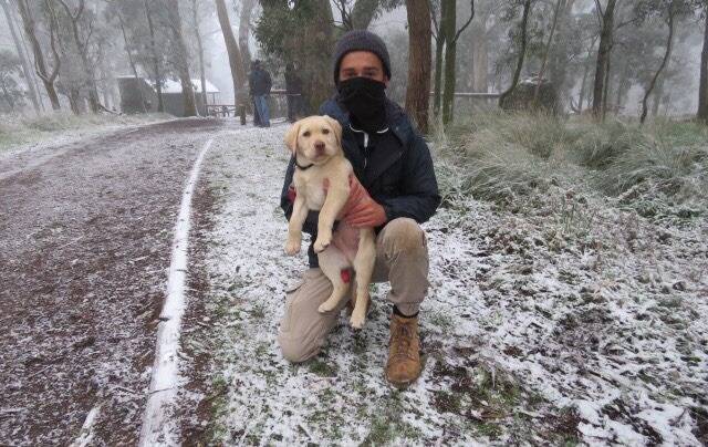 Jack Reinhardt with his 12-week-old puppy Mac at Mt Buninyong.