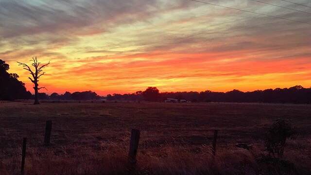 PIC OF THE DAY: @mathewchapple "#morning #sunrise near #Ballarat"