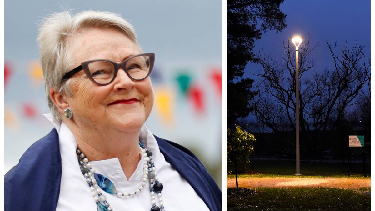 Member for Western Victoria Bev McArthur has attacked council over its plans for Lake Wendouree lights.