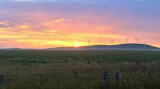 PHOTO OF THE DAY: @mathew.chapple "Sunrise at the #waubra #windfarm #Ballarat #waubrawindfarm"