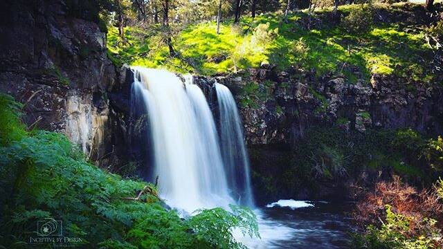 PHOTO OF THE DAY: @inceptivebydesign "Moorabool Falls #photography #ballarat #visitballarat #theballaratlife #landscape #nature #can_photography #canonphotography #canon #canon_official #waterfall #lallal"