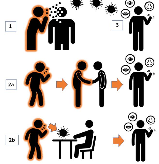 Coronavirus can be transmitted directly from one person to another through the air or via hands or an object. Author supplied, author provided.