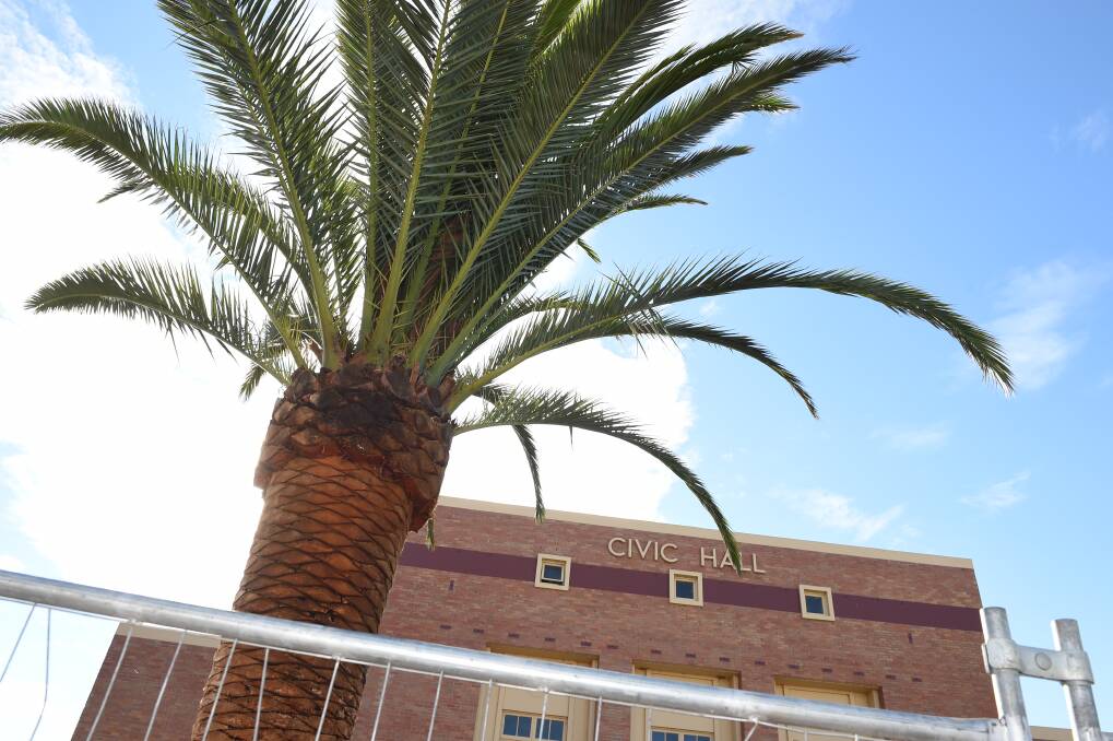 The new palm trees were installed out the front of Civic Hall last week. Photo: Kate Healy.