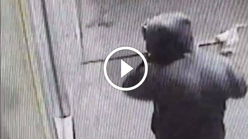Watch thief use crowbar to smash into Sebastopol bottleshop