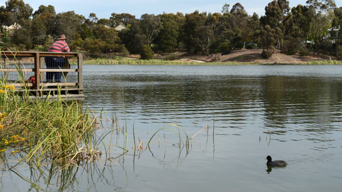 Help with the heat: 10 Ballarat parks and swim spots you might not know about