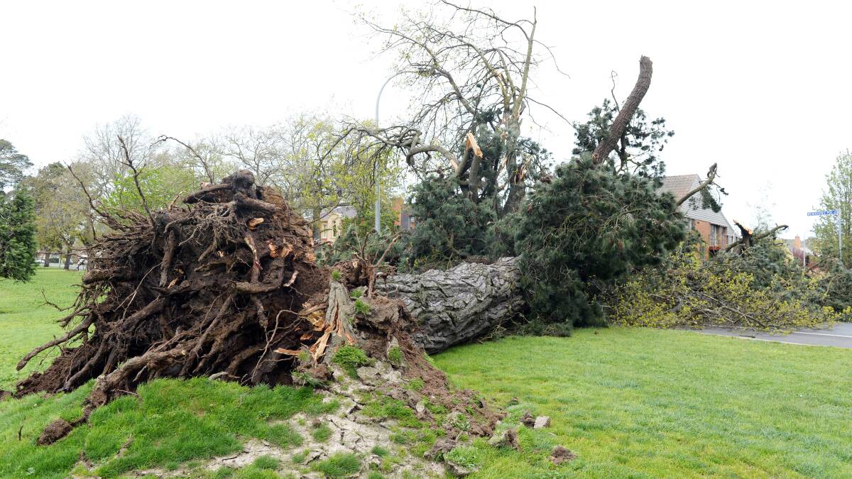 Extreme winds also wreaked havoc in October (file shot).