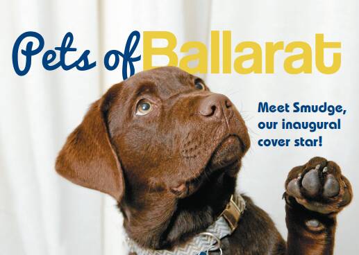Say hello to Ballarat's favourite pets | Special publication