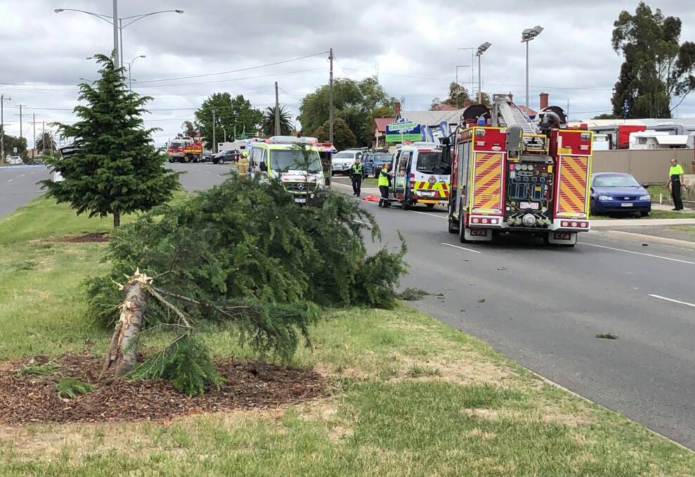 The tree that was taken out in the centre of the media strip. Photo: Greg Gliddon.