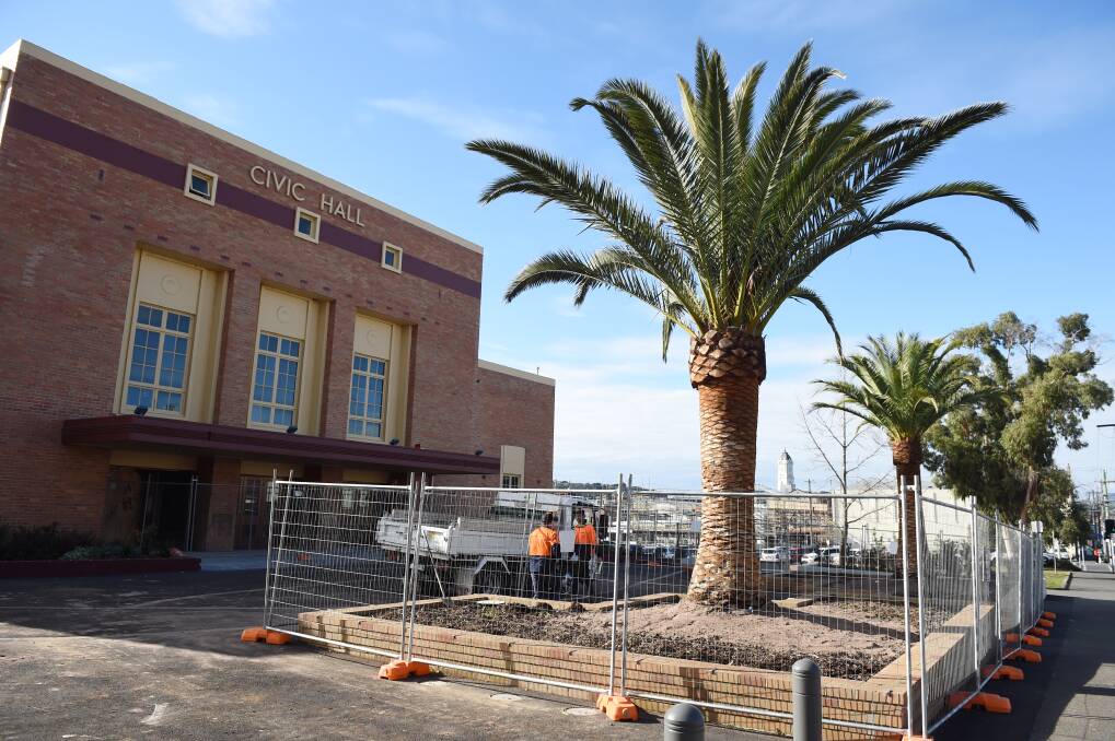The new palm trees out the front of Civic Hall. Photo: Kate Healy.