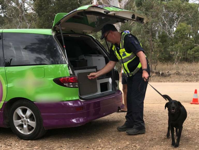 Police and the canine unit searches a car at Rainbow Serpent.
