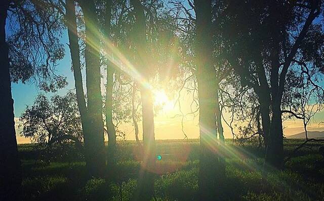PHOTO OF THE DAY: @mathew.chapple "Morning #sunrise at #ballarat"