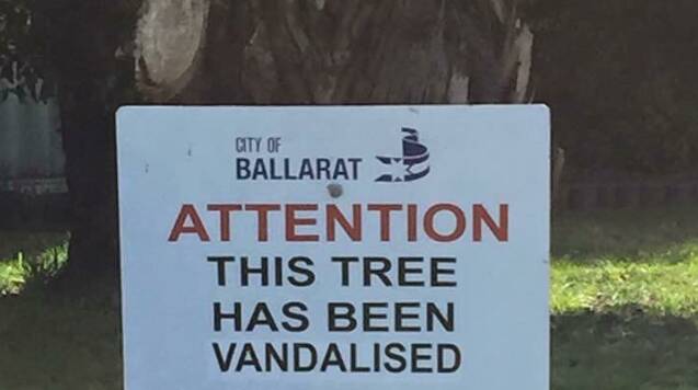 ATTACKED: The City of Ballarat has received social media backlash after council officers nailed a sign to an already damaged tree trunk in Mitchell Park. Picture: Supplied.