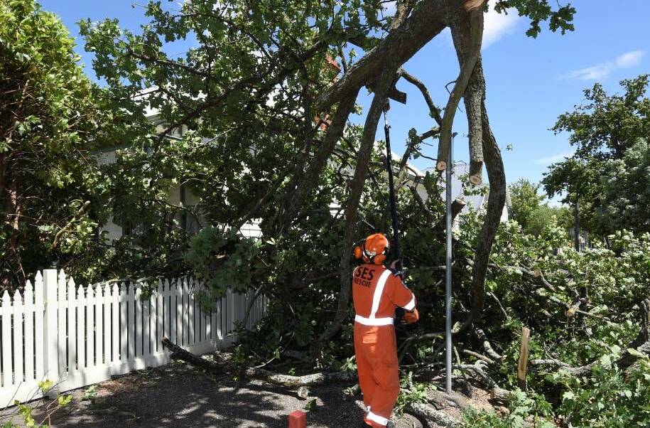 Winds: SES cut down branches which completely covered a car parked on Ascot Street South after damaging winds ripped through Ballarat. Picture: Lachlan Bence.