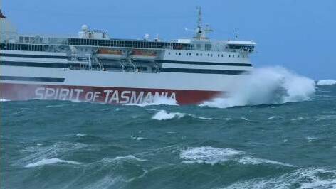 RSPCA calls for better domestic animal transport across Bass Strait
