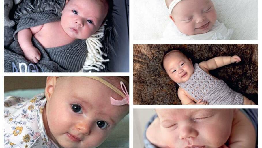 Submit your baby's photo to The Courier