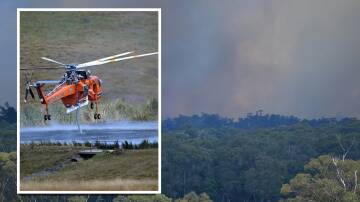 The bushfire at Newtown on February 15, which burned into the Ross Creek State Forest. Pictures by Kate Healy. 