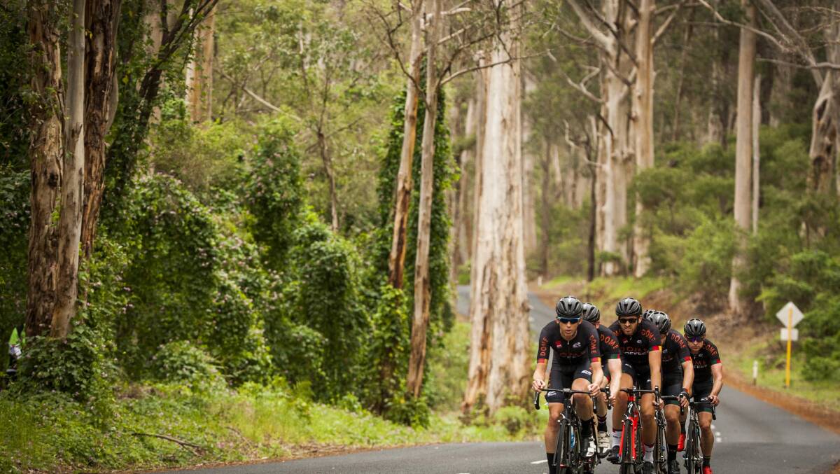 The Tour of Margaret River … join Robbie McEwen and Matthew Keenan ahead of the peloton as it heads for the tall timber. Image: Tim Bardsley-Smith.