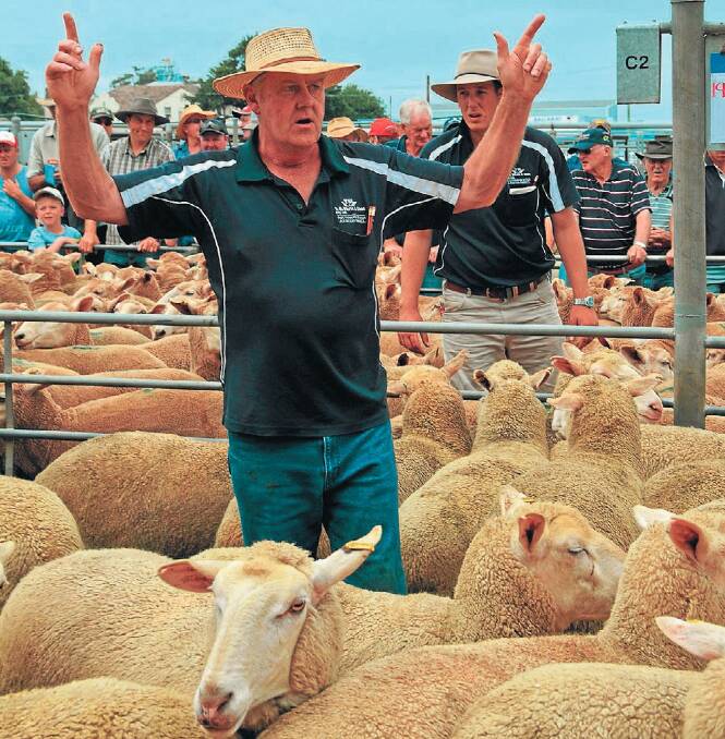 TB White & Son director Gerard White said agents were concerned the proposed Ballarat saleyards plans would result in more livestock sales.