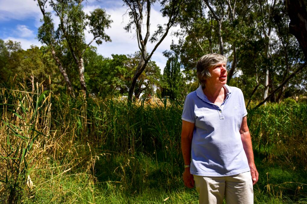 Carisbrook resident Trish Coutts says community stalwarts will keep pushing for change. "We won't give up until it's done properly," she says. Picture: BRENDAN McCARTHY