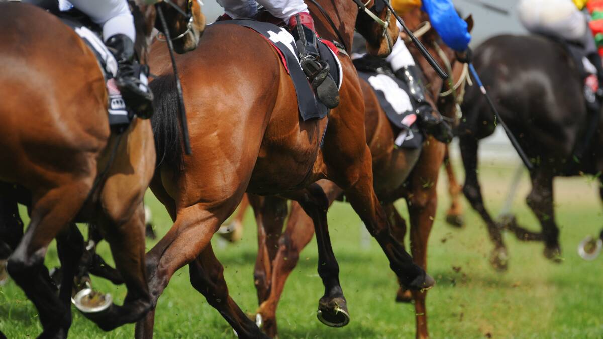 Racing Victoria reduces prizemoney, stands down staff, caps field sizes and race meetings
