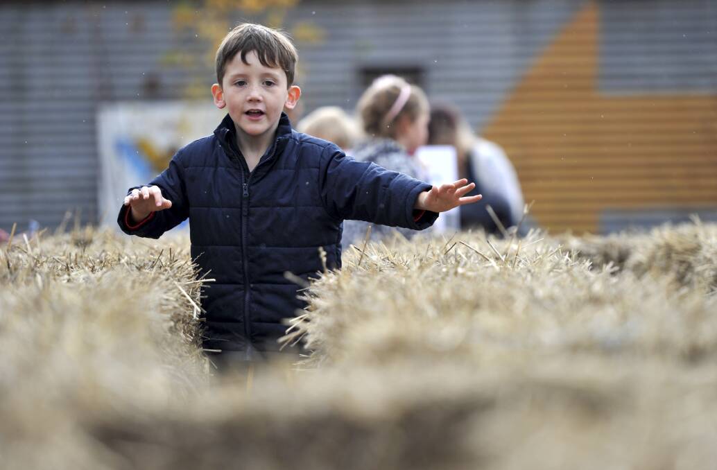 Imagination: The hay-bale maze was as popular as ever, as scores of children attended the festival with their book-loving parents. 