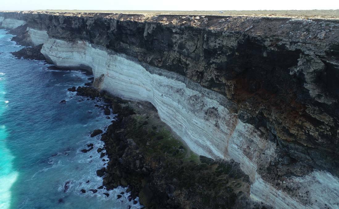 A photo of the Bunda Cliffs, with the colony on a rock platform at the base of the cliffs. Photo: Department for Environment and Water
