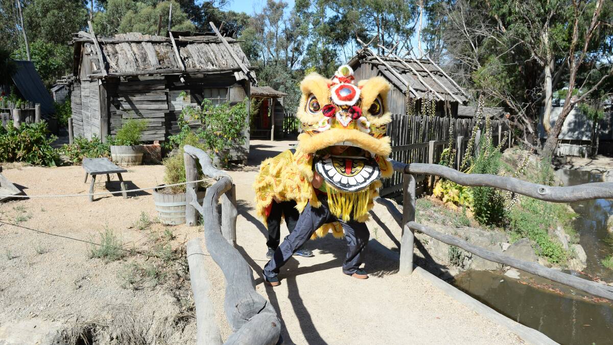 CELEBRATION: Anna Yuan, 15, and Ryan Wang, 9 inside a lion ahead of the Chinese New Year events at Sovereign Hill on February 10 and 17. Picture: Kate Healy
