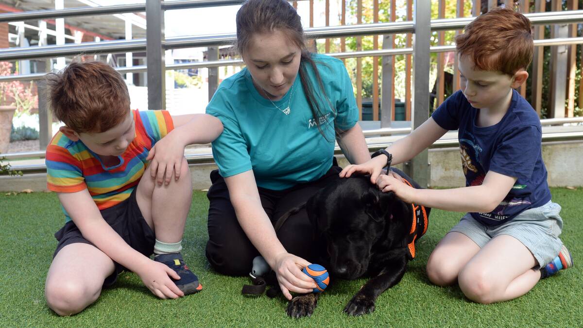Sebastian, 7, Paw Pals facilitator Sarah Zulman, with her therapy dog Yarny and Benjamin, 8. Picture by Kate Healy
